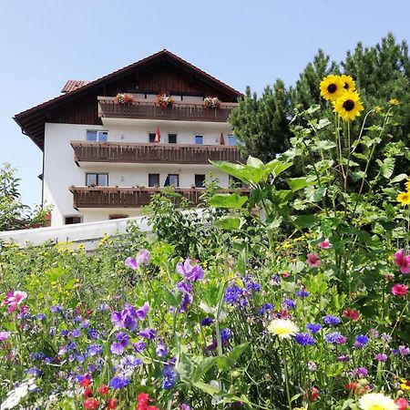 Ferienwohnungen Andreas Schaefler Lindau  Buitenkant foto